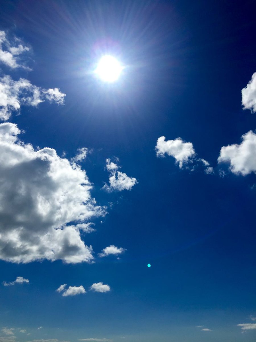 LancingBeach's tweet image. Missing in June, arrived for middle of July? can anyone guess what it is?