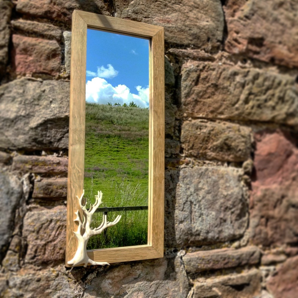 Aspect6's tweet photo. Photo time. #aspect6 #treemirror #eastlothian #interiordesign https://t.co/awNOzA4Pa5