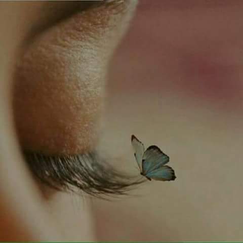 Luma__03's tweet photo. نحتاج أحيانا أن نغمض أعيننا ونتجاهل شيئا ما...!
موقف، شخص، ردة فعل 
أو شئ لم نتوقع حدوثه فقط لـنكون بخير... https://t.co/3euw59YosT