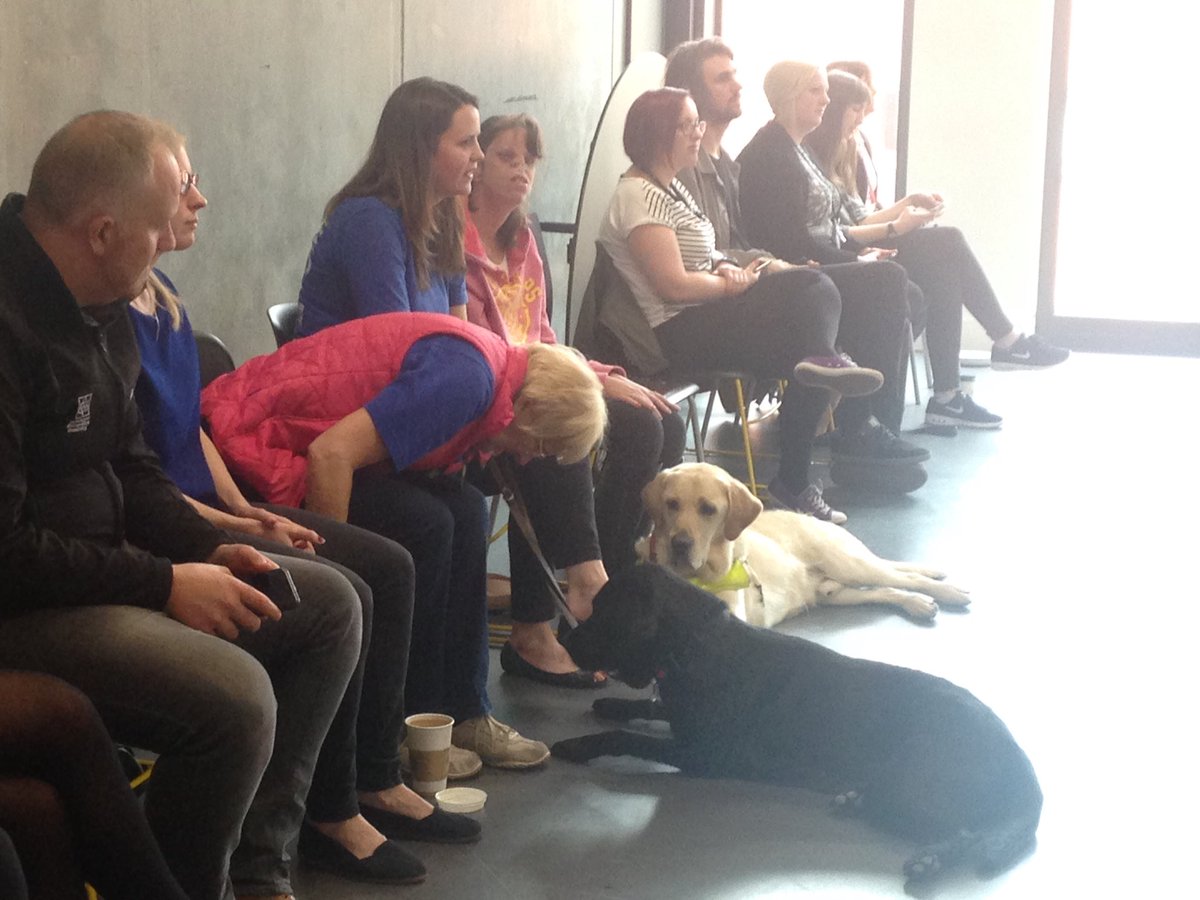 MMUSport's tweet photo. Gratuitous dog pics. Feel the chill out. #healthymmu #engageweek16 https://t.co/S4YJy1a8mW