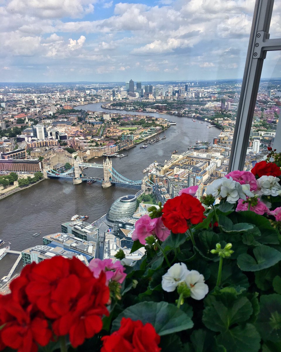 georgelythe1's tweet photo. #London as seen from #theviewfromtheshard #theshard #cityoflondon #amazingview #westerneuropes #highestgarden πΊππ https://t.co/yapsu544C2