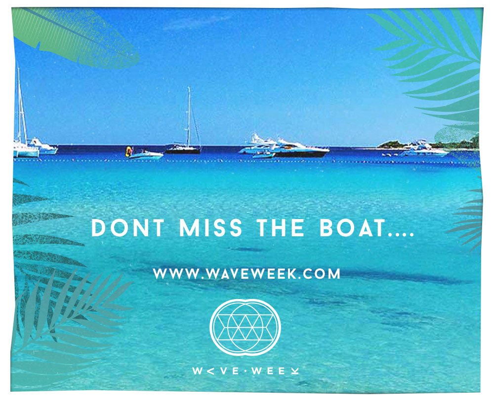 wave_week tweet picture