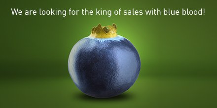 Looking for an International Sales Representative! Job description: legro.nl <a href="/Legro_Potgrond/">Legro</a>