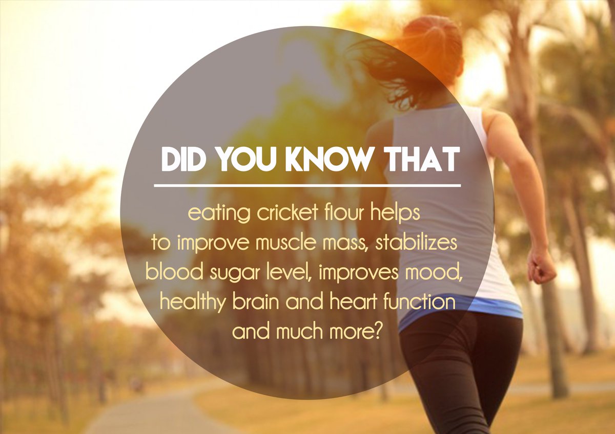 SensFoods's tweet photo. The list is endless, see for yourself very soon. #sensbar #insectfood #cricket #healthyfood #entomophagy #lifestyle https://t.co/kJBffYSo0L