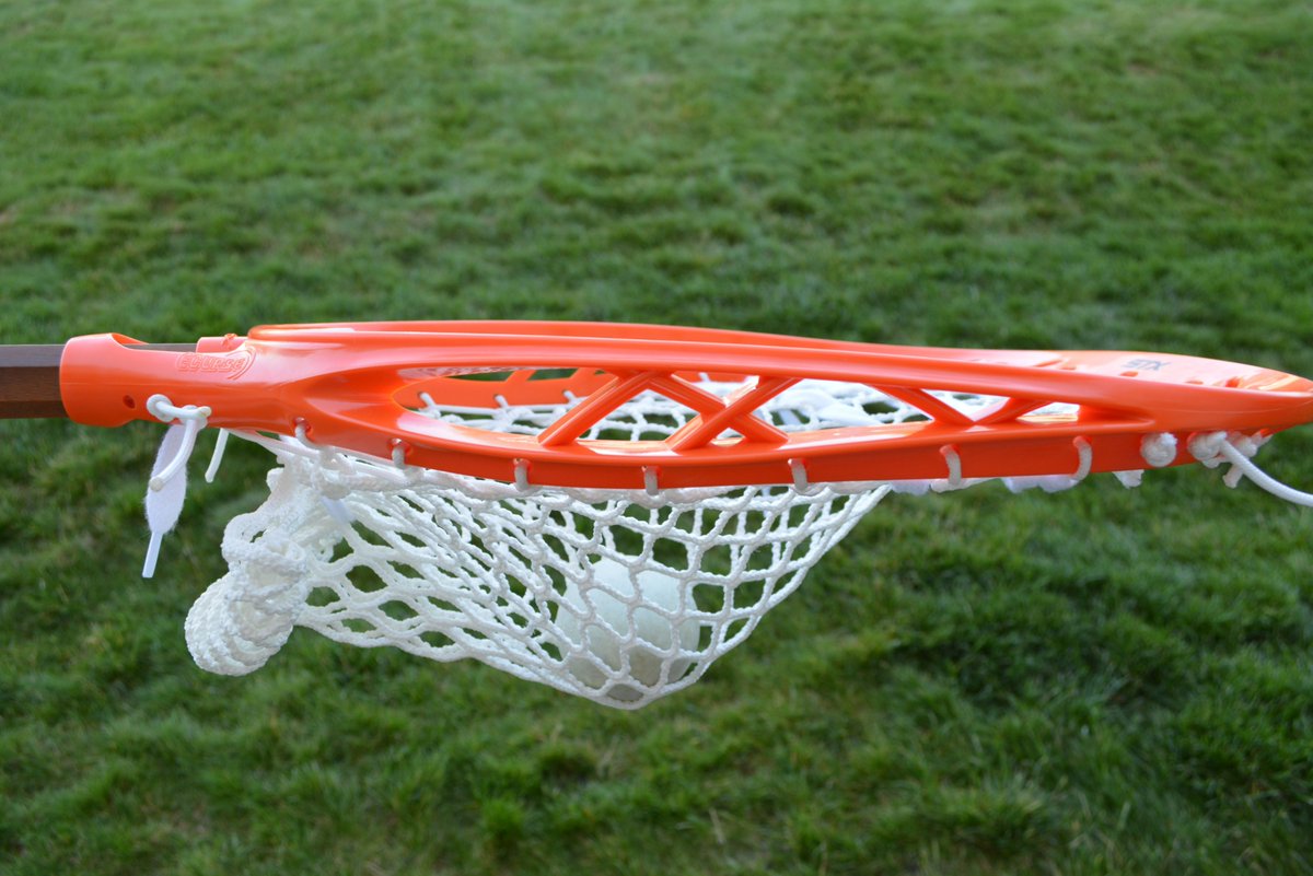 Bucky T. tweet media