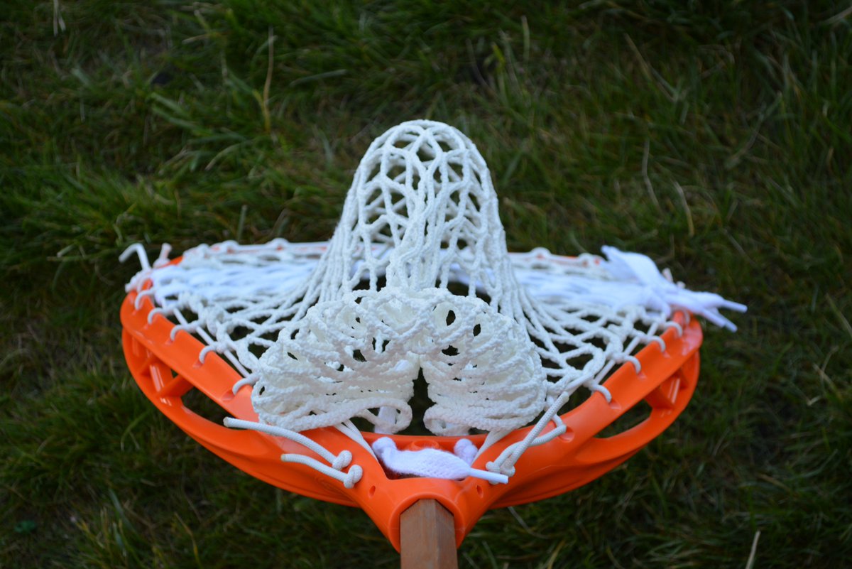 Bucky T. tweet media