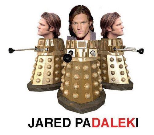 Jared Pa-dalek-i