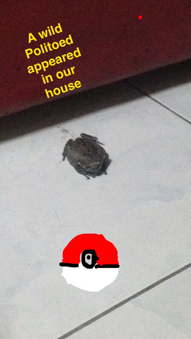 williammarryme's tweet photo. Sabaw #PokemonGO #SolidGraphics #Palaka https://t.co/IBTx37QOQW