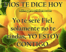 mandes_madera's tweet photo. 👇👇👇💯💯Dios te dice Hoy👇👇Feliz Jueves lleno de lo mejor la Bendición y Amor Puro de Dios,💯Amor..Amén. https://t.co/rngbMJlPeQ