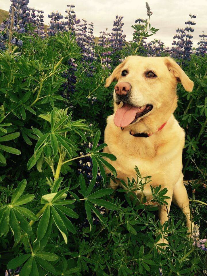 Karen (@ksrenelisabet) on Twitter photo 