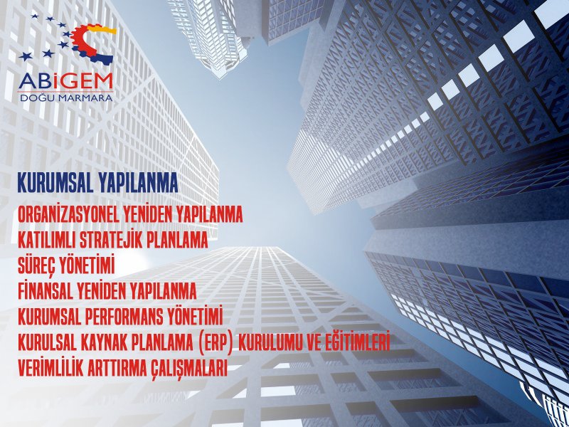 Şirketleri çok yönlü olarak inceliyor ve aşağıdaki başlıklar altında verimliliklerini üst düzeye çıkarıyoruz.