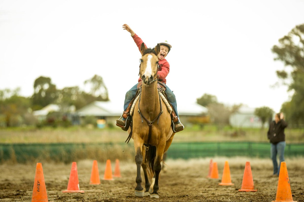 TSBbooks's tweet photo. Looks like this kid had a blast! #TSBauthor Dan Steers sharing the @DoubleDanHorses method during a kids clinic! https://t.co/0bXWGushHZ