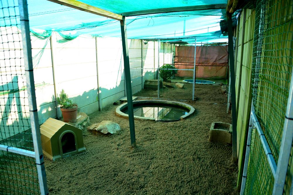 MosselBayHeli's tweet image. All is well at #SAPREC in #MosselBay mosselbayadvertiser.com/news/News/Gene…