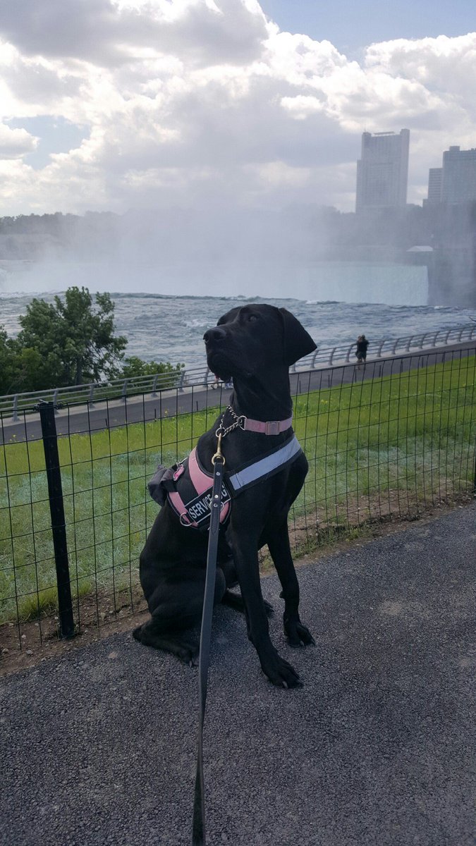WarriorsBFriend's tweet photo. Michael and Nani recently visited Niagara Falls. Take a look at some of the sweet moments he captured! https://t.co/VmEEq6Mhli