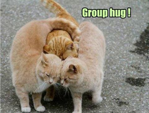 TrishParr.com 🇨🇦 tweet media