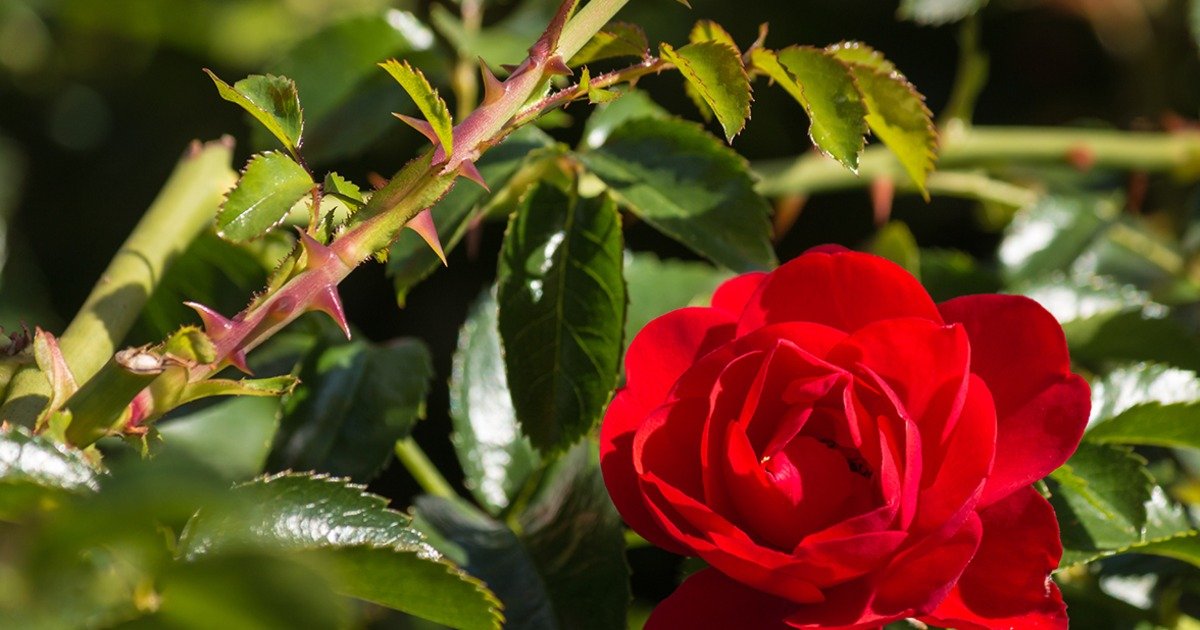 Relo2oc's tweet image. Keeping your doors and windows clear is step one. otbd.it/lFGwlN