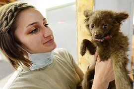 jointheelite's tweet photo. #newjob for Head #Veterinary nurse in #Devon Amazing Vet Practice! #dreamjob #veterinaryjobs https://t.co/bgJrmsbodL https://t.co/HNT1PMbcuY