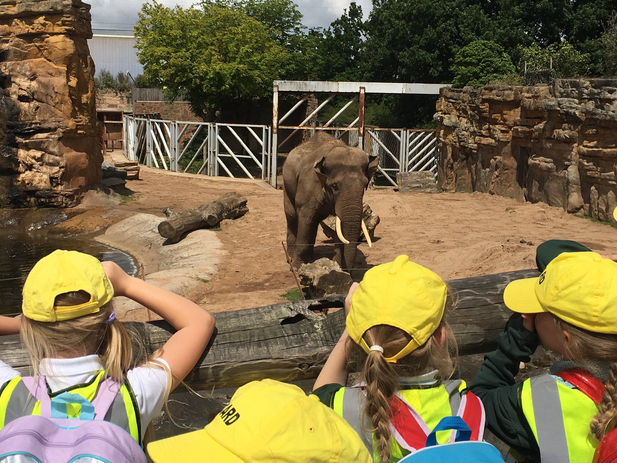 Miss_Day1's tweet photo. Absolutely brilliant day, 1RD loved every minute!@LiscardPrimary @chesterzoo https://t.co/nAhHabOkTV