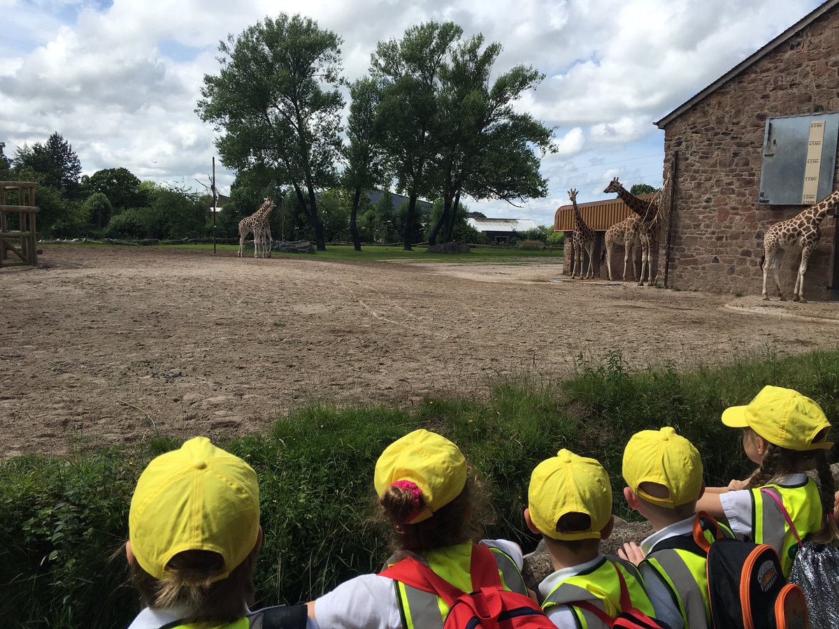 Miss_Day1's tweet photo. Absolutely brilliant day, 1RD loved every minute!@LiscardPrimary @chesterzoo https://t.co/nAhHabOkTV