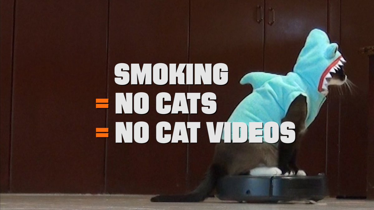 Sammy_Cakes21's tweet photo. A friendly reminder that cats can get cancer from smoking too... #FLfinishers @truthorange https://t.co/j1yRK7AbSV
