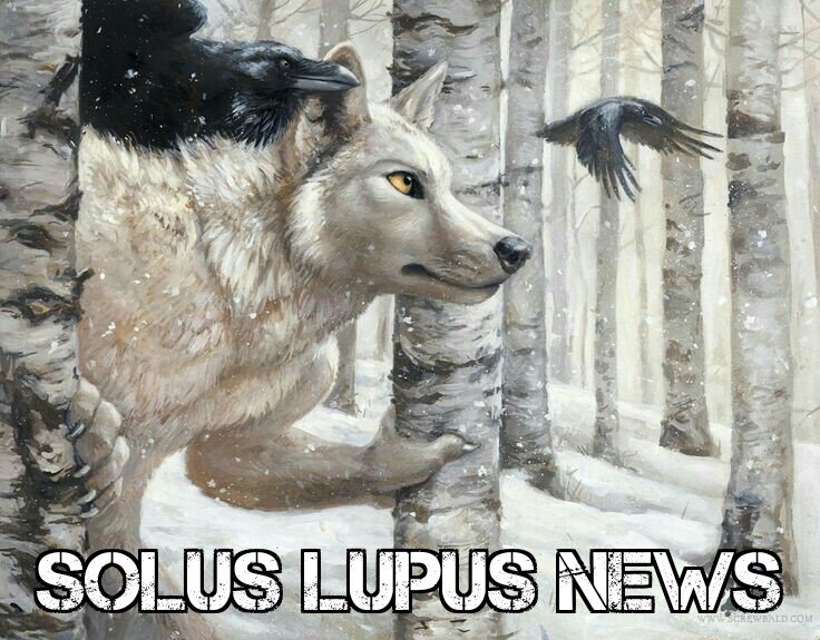 SolusPR's tweet photo. Siempre vigilante. Denunciando y fiscalizando lo que otros tratan de ocultar. https://t.co/bEGbASdo7W #TeamSolus https://t.co/UISidfN0bd