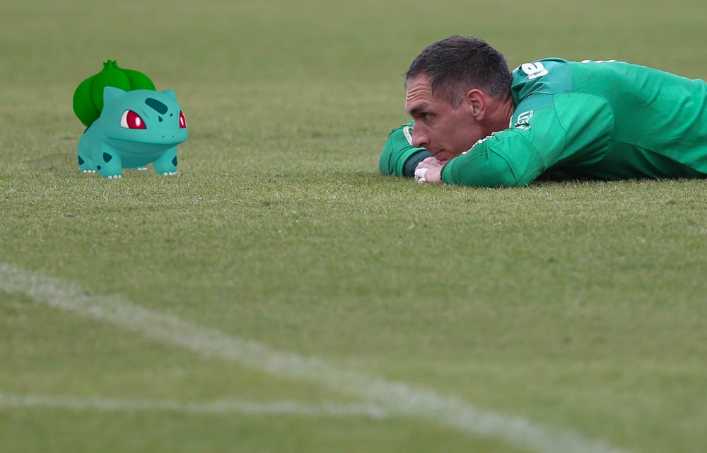 SE Palmeiras tweet media