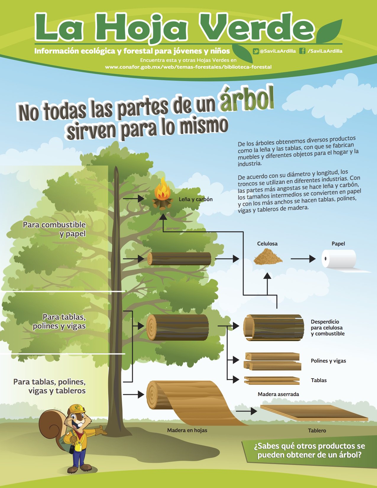 CONAFOR a Twitter "¿Qué tanto conoces sobre las funciones