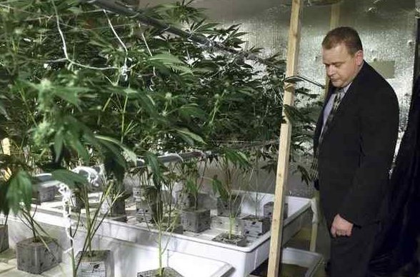 MME_GRANDRAPIDS's tweet image. Is pot as dangerous as heroin? Feds' decision on rescheduling marijuana coming soon

  dld.bz/eGy3J …