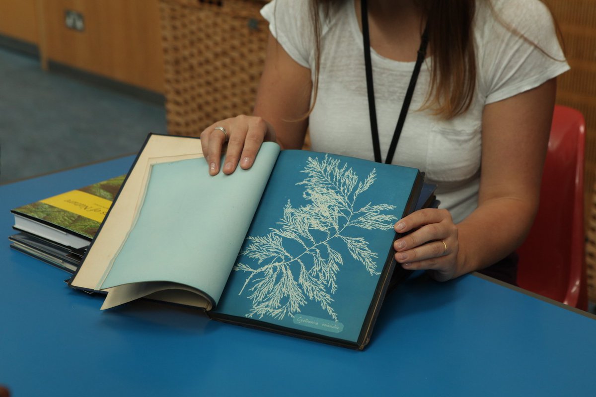 Redstart Arts tweet media