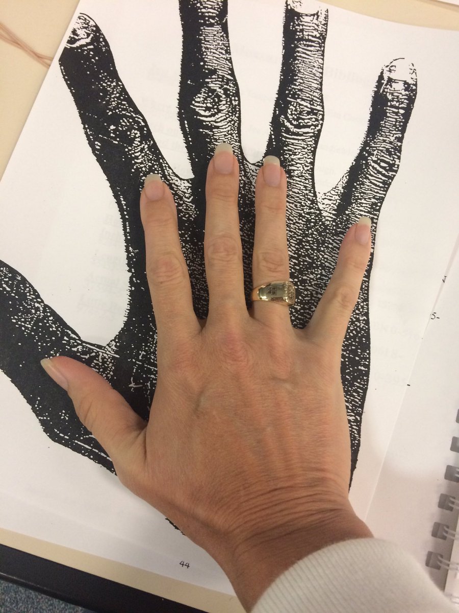 theressa_engel's tweet photo. Teaching PK-1 measurement. My hand compared to Michael Jordan's. #mathskills #coolactivity https://t.co/BEtckxuCio