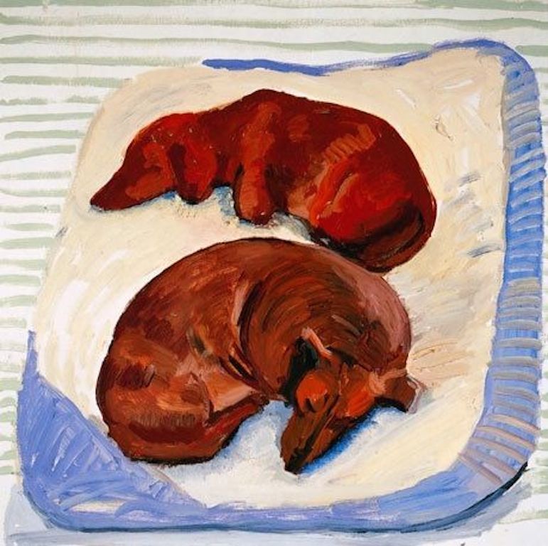 DachshundGifts's tweet image. #DavidHockney drew &amp;amp; painted his #dachshunds ! 84 images now collected into a lovely book 
devotedtodachshunds.co.uk/product/1249-d…