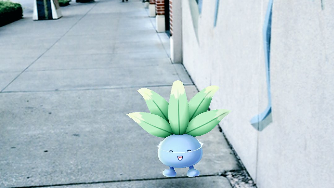 _hourglassmedia's tweet photo. Gotta catch 'em all! Oddish #selfie on the sidewalk yesterday. Who else is playing @PokemonGoApp and why? #PokemonGO https://t.co/dzKlal71w9