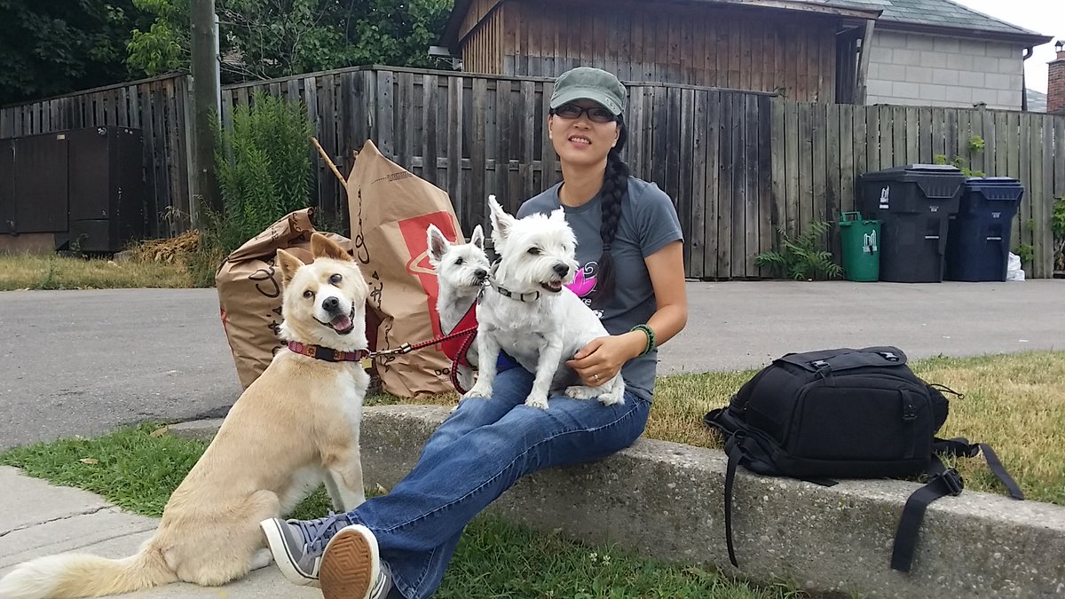 freekoreandogs's tweet photo. Off to welcome yet another Korean rescue dog. Please help us save more. https://t.co/O3QEURyFY6 https://t.co/CNiRrsixl8