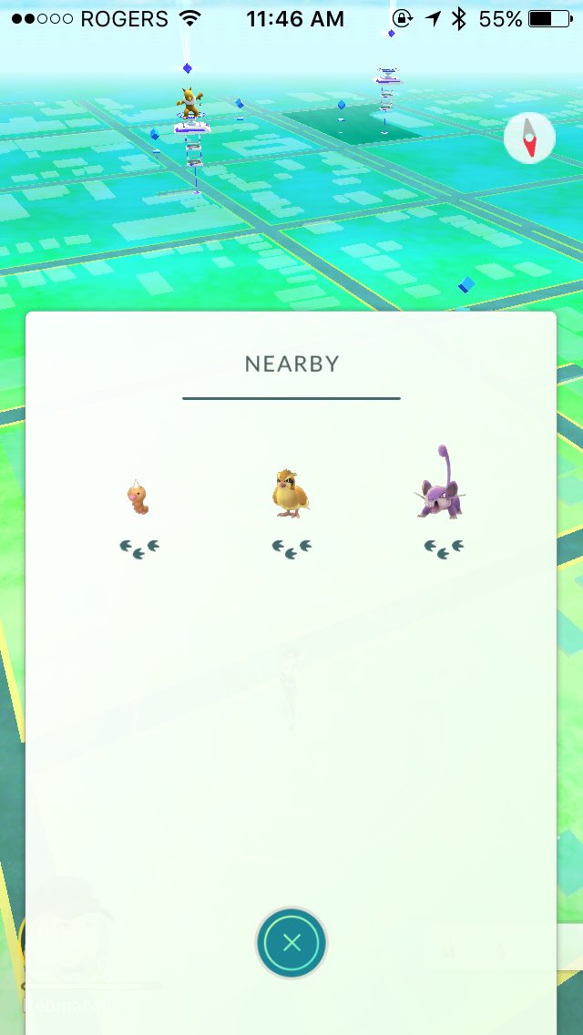 PokeGoProblems's tweet photo. When this is all that's around your area #PokeGoProblems https://t.co/6rLqYthcMk