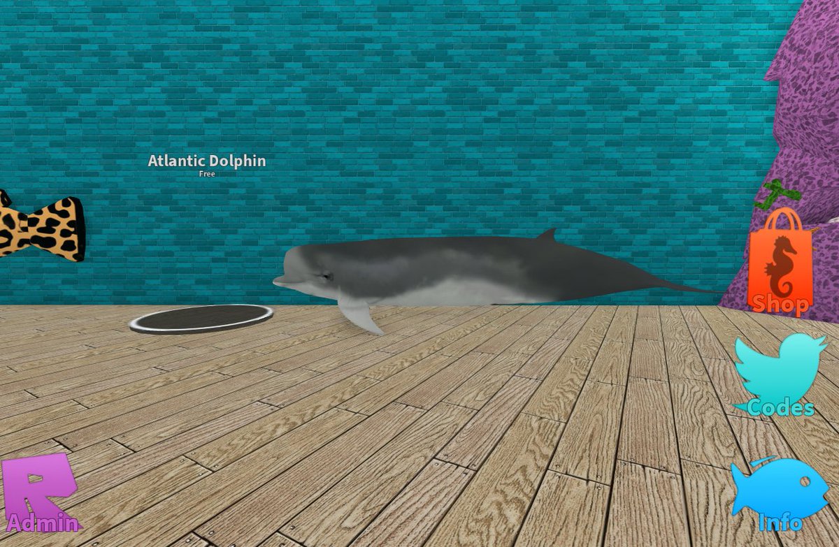 Ricky On Twitter Whales Dolphins And Great White Sharks - 