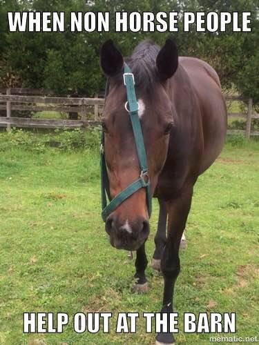 STALL SIFTER tweet media