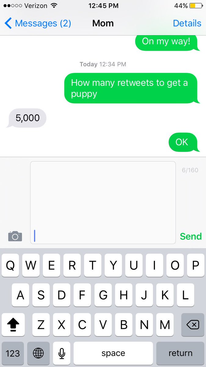 RealSpiceyy's tweet photo. I BEG YOU ALL PLEASE 😭😭 https://t.co/7bkvhb29Ss