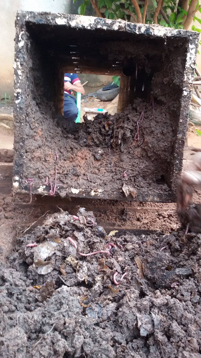 Observateurs's tweet photo. Face à la raréfaction des terres cultivables, des #Ouganda.is lancent des fermes verticales https://t.co/p0qC9lYoTu https://t.co/PMZwbpUjO3
