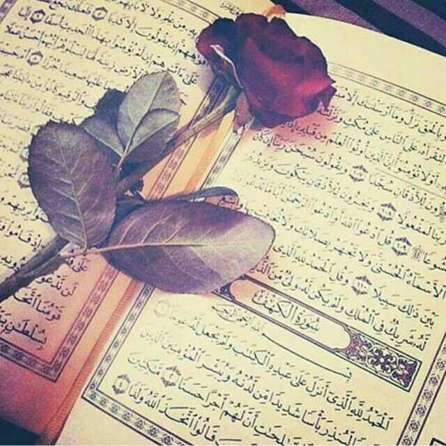 khlwda107's tweet photo. ربي قد مسني الضر وأنت أرحم الراحمين https://t.co/gSAMeHHhjf