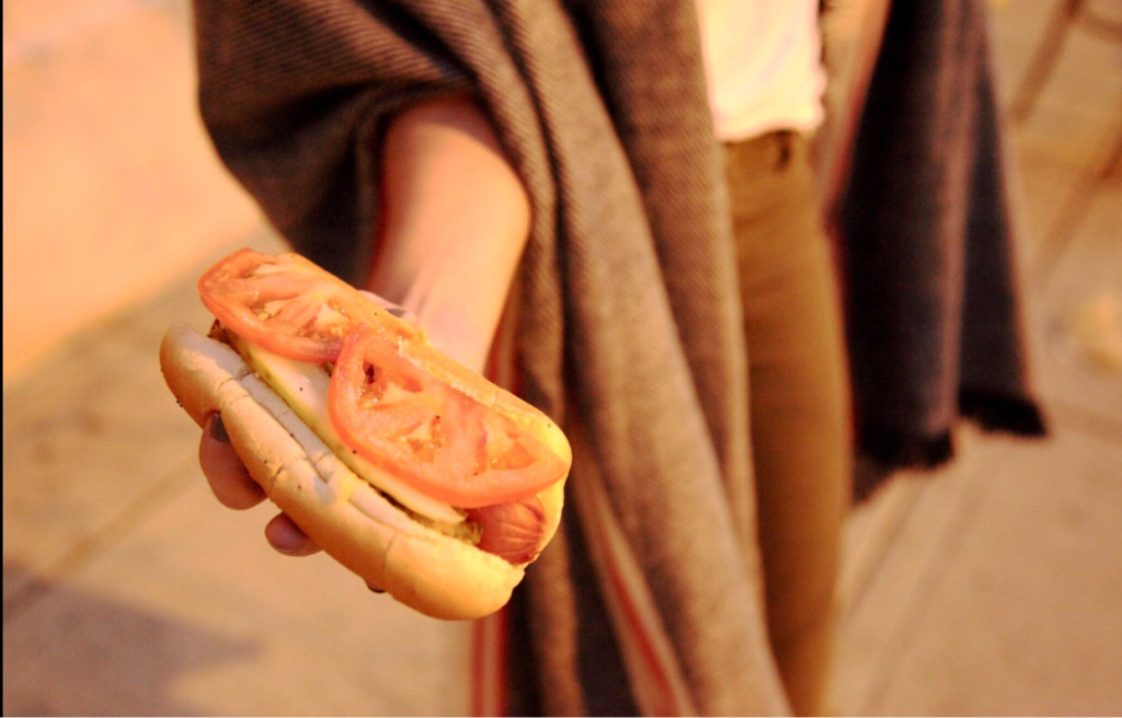 We've got #wolfdogs a plenty for #nationalhotdogday 🐺🌭