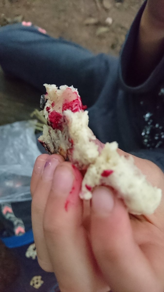 PembrokePrimary's tweet photo. Year5 #forestschools #campfirecooking #bannockbread fruits from #schoolgrounds #banansplit #outdoorlearningwales https://t.co/OwVyi4yiOz