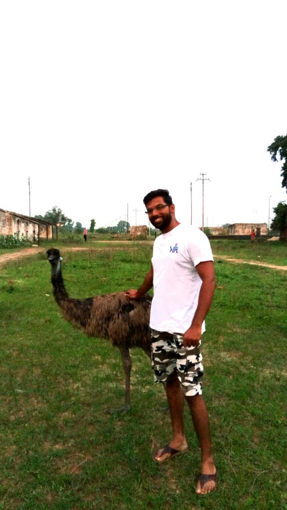 sanjayamplifier's tweet photo. Meet my new friend Emu !!! https://t.co/yDVA1TPmi3