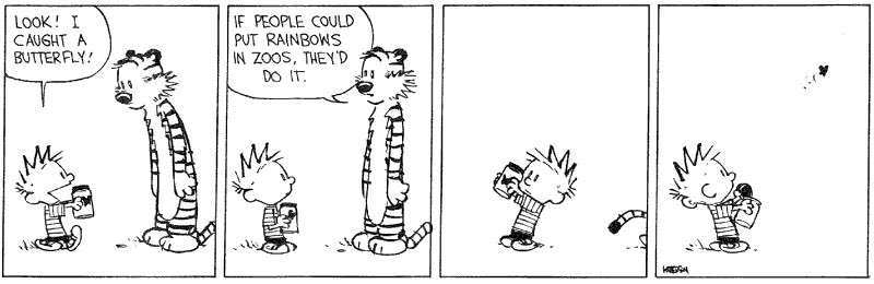 Calvin And Hobbes Here S Something To Think About