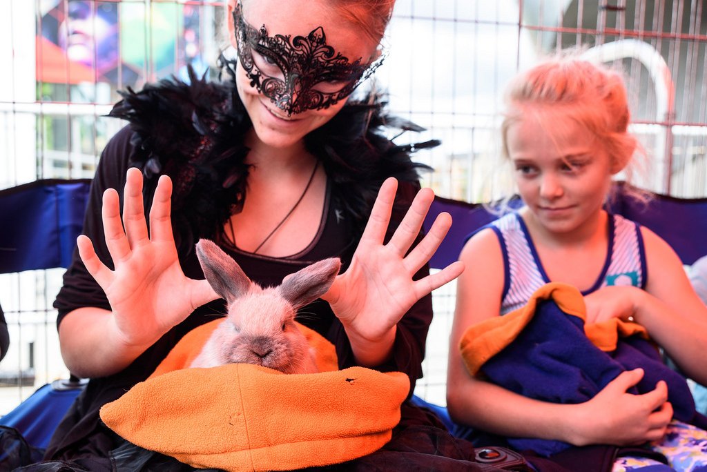 mopop's tweet photo. Yay! Enchanting #EMPMythandMagic Day Faire photos are here: https://t.co/2LOQBbLo6O https://t.co/Bu4PWJYW31