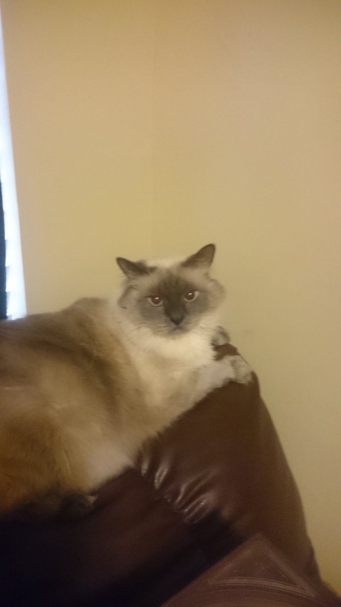 itsactuallyhim's tweet photo. Missing my fatty https://t.co/0zyuC0tBkz