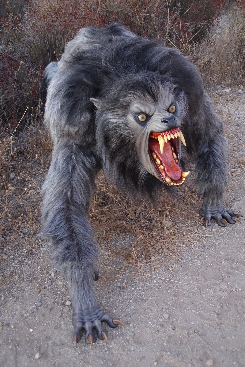 Hollywood Horror Museum on Twitter "The astonishing