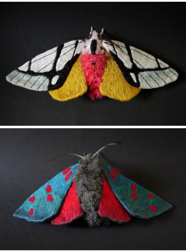 التقطت هذه الصور لأغرب أنواع الفراشات على سطح الأرض 
سبحان الله ما أجملها ❤️