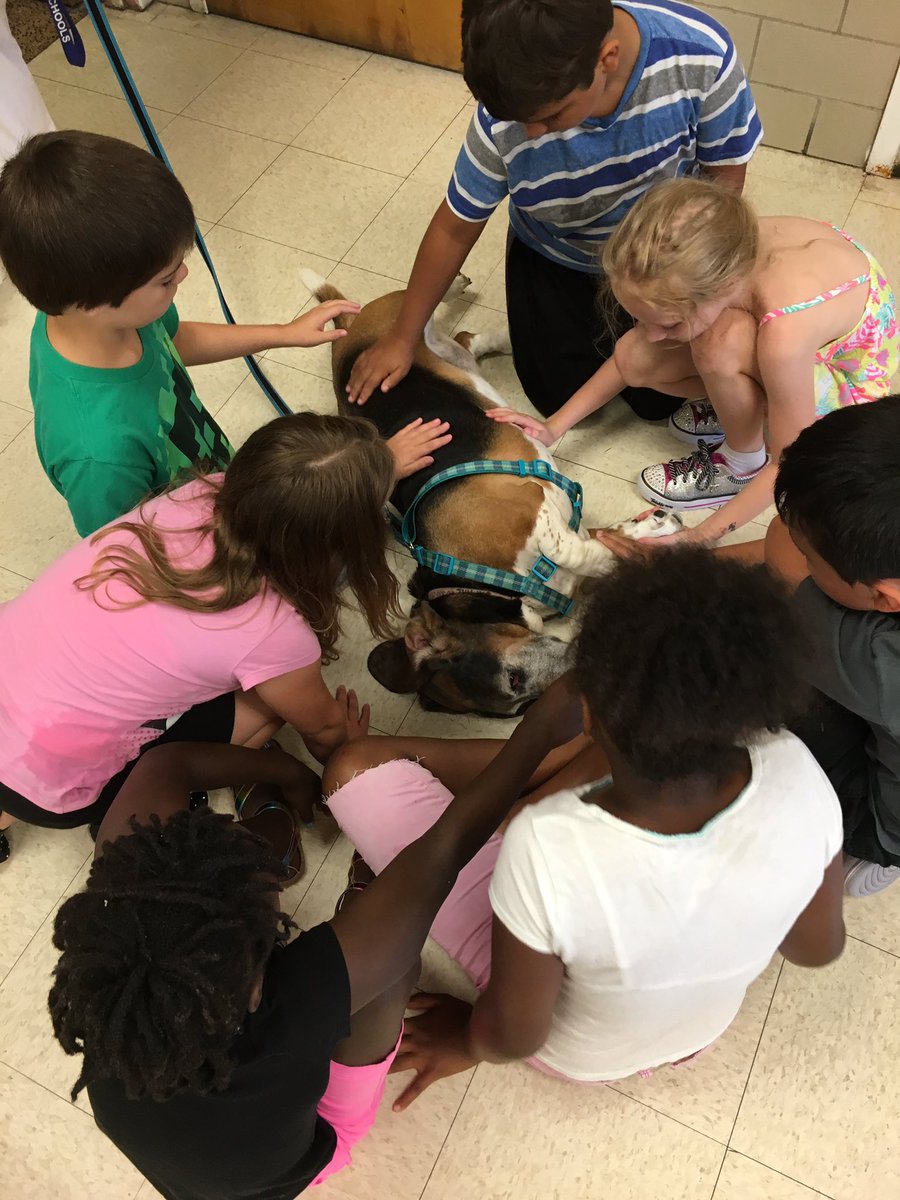 Kelly Murkey tweet media