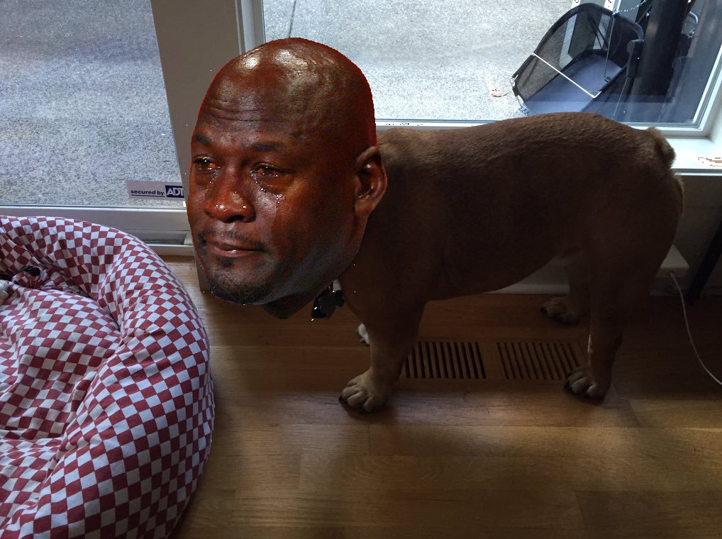 SideEyeGus's tweet photo. When @blake_t and @jbean325 make me stay in the yard for too long when it's this hot out https://t.co/3ghhfAwgdt
