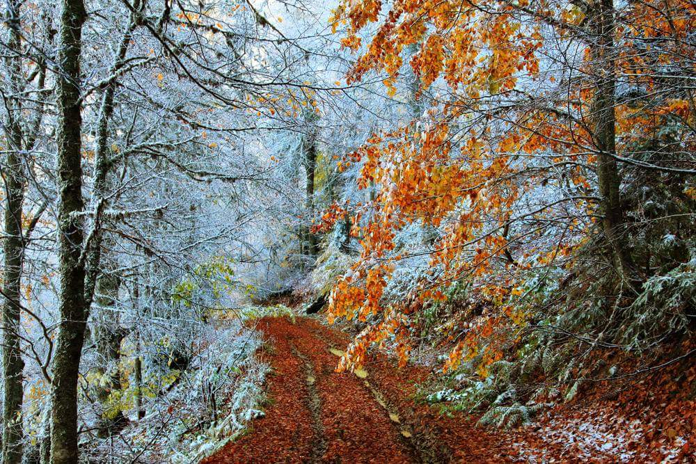 Görev yapmakta olduğum güzel ilçemiz Eskipazar'dan enfes kareler
<a href="/EKymkmlg/">Eskipazar Kaymakmlık</a> <a href="/eskampim/">Es-Kamp</a> <a href="/muratirgatoglu/">Murat Irgatoğlu</a> @MirFanSayfasi